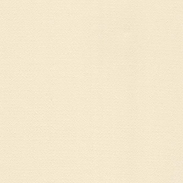 XW1002-IVORY