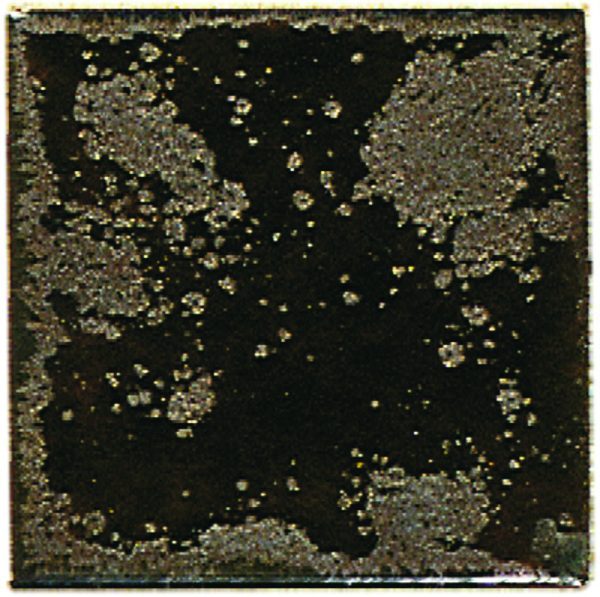 DG1371