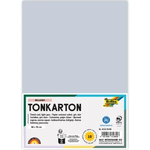 Light Grey Coloured Card 220gsm 50 x 70 PK 10