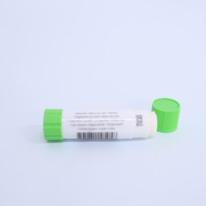 Budget Glue Stick 20gm